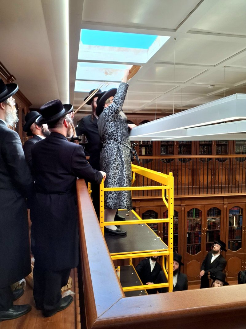 באדיבות המצלם