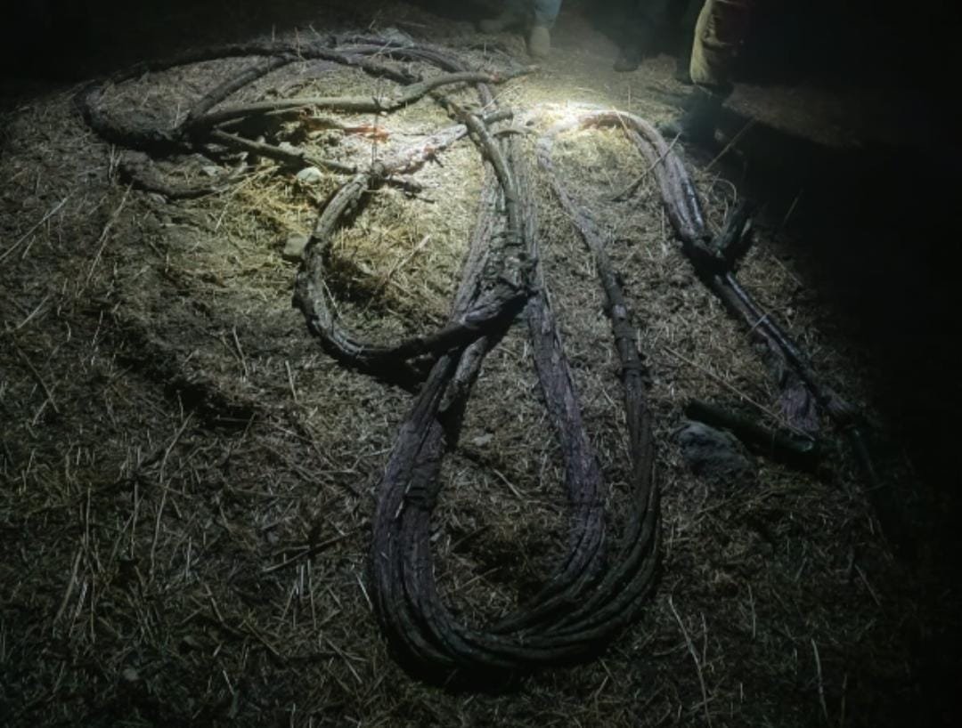 דוברות המשטרה