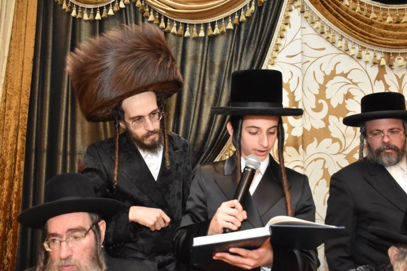 יהודה פרקוביץ