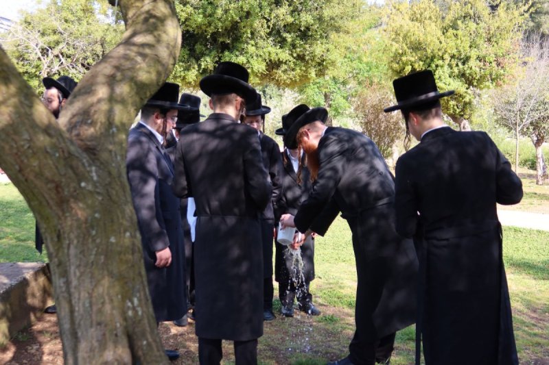 אלקנה קליין