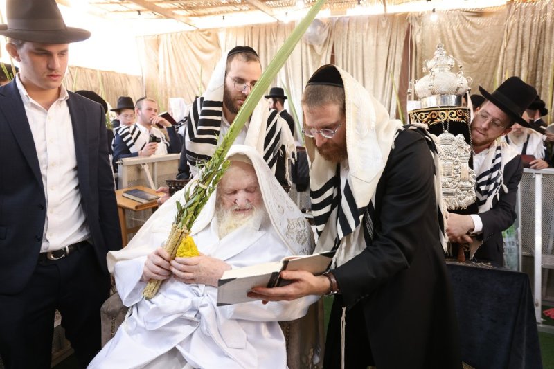 שוקי לרר ושמואל דריי