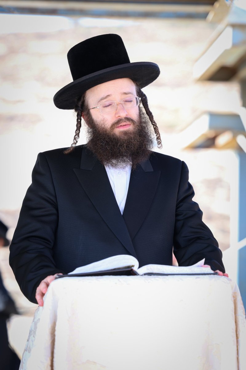 א. אייזנבאך