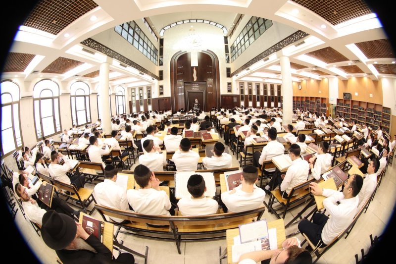 שלומי טריכטר