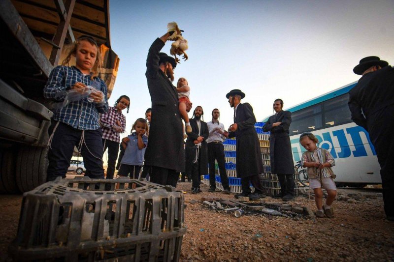 ארי קופרשטוק