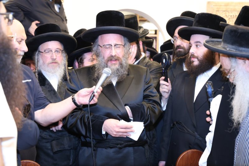 שלומי טריכטר