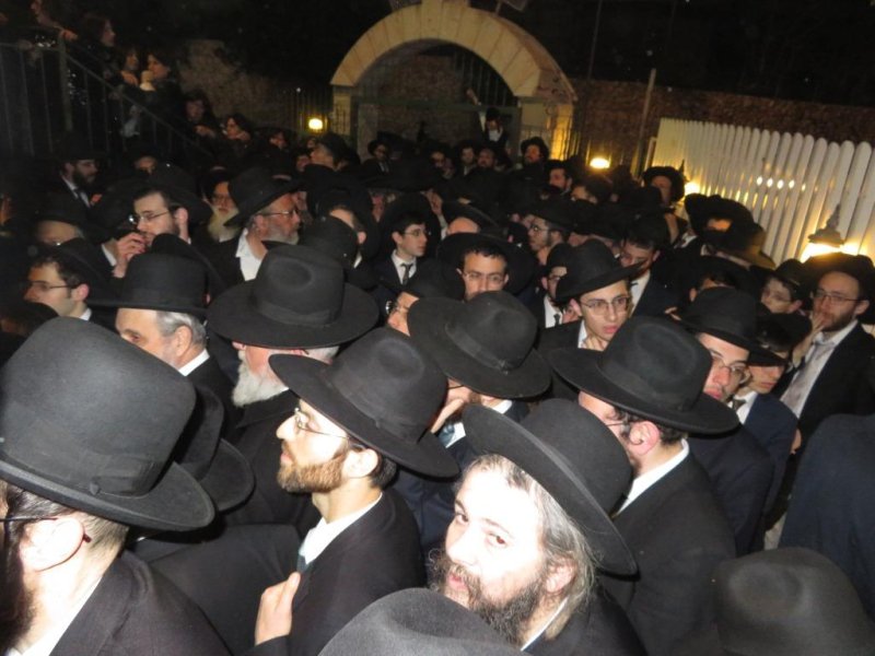 שלומי טריכטר