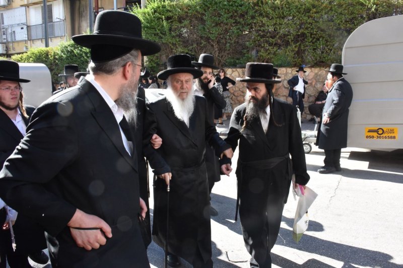 יהודה פרקוביץ