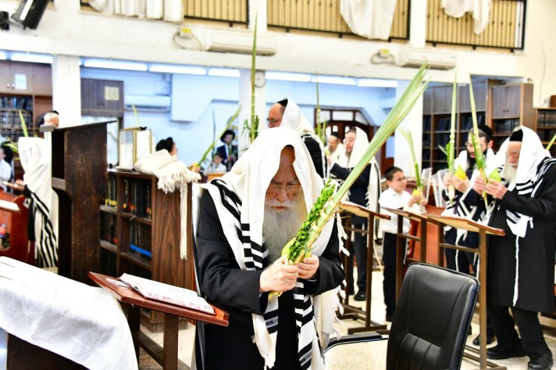 שוקי לרר