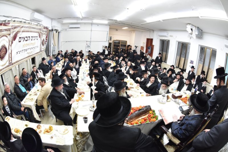 יהודה פרקוביץ