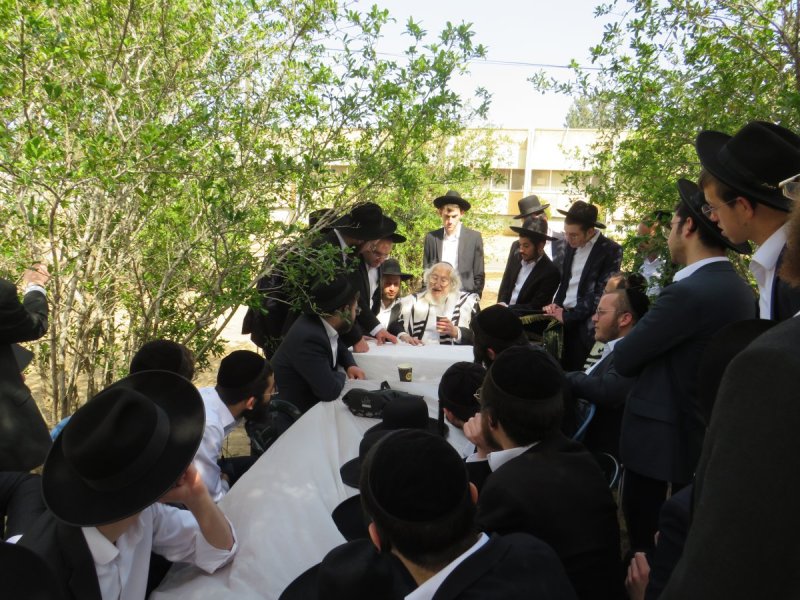 באדיבות המצלם