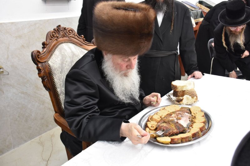 יהודה פרקוביץ
