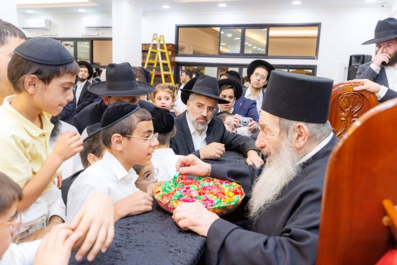 אלעזר פיינשטיין