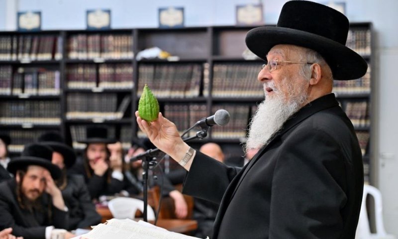 בספינקא בית שמש: הפוסק הגרי"מ שטרן בשיעור ד' מינים ומושב הלכתי על שאלות יום כיפור