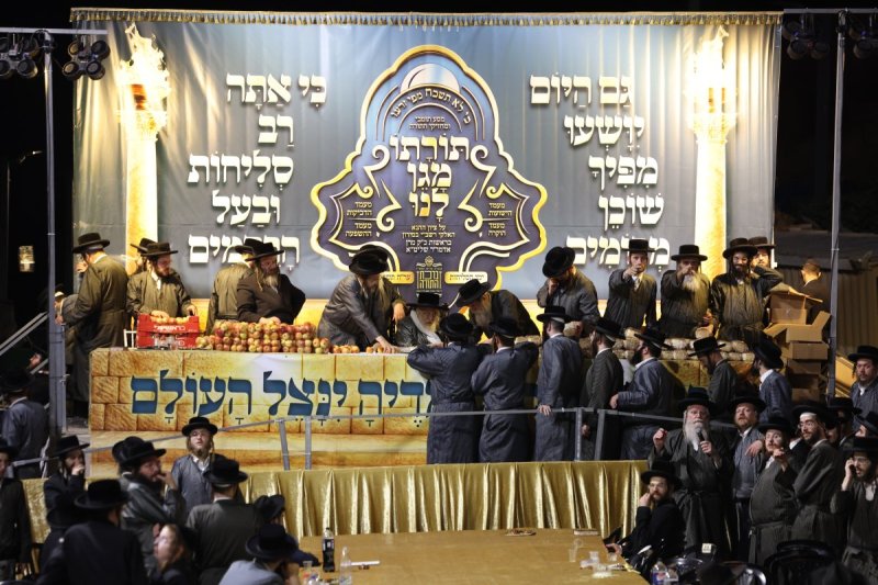 דוד כהן