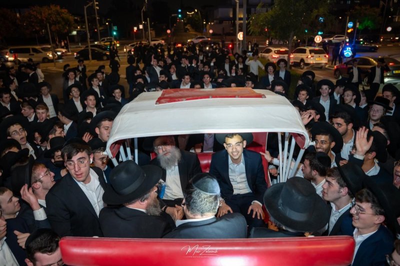 מאיר זלזניק