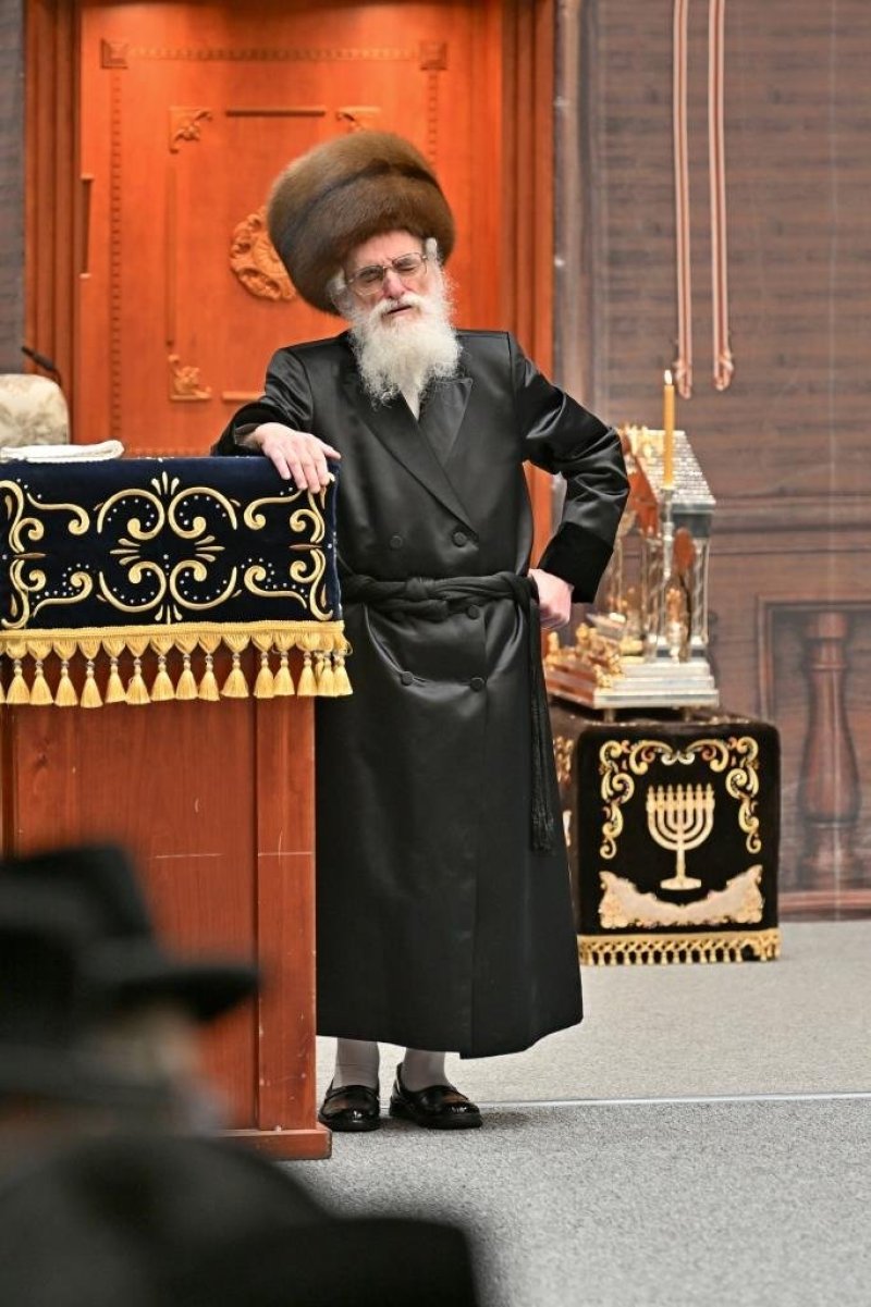 יהושע פרוכטר