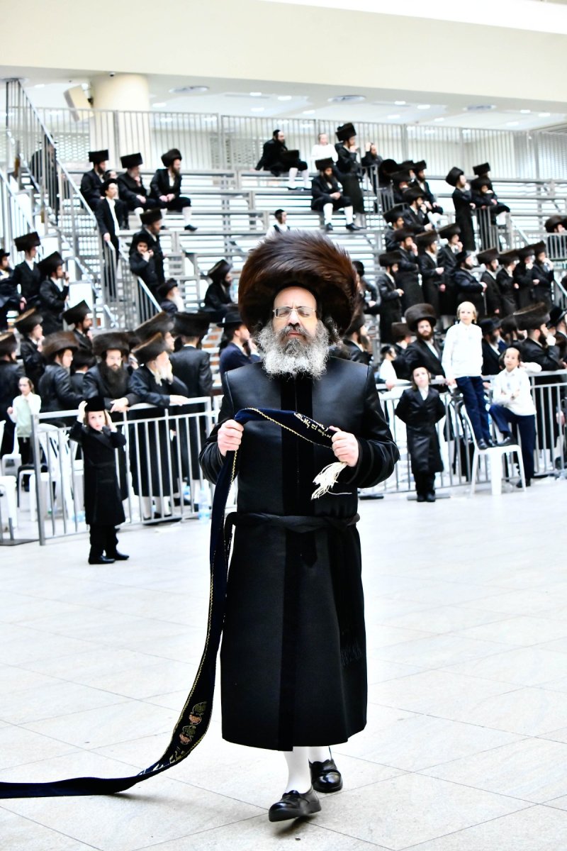שוקי לרר