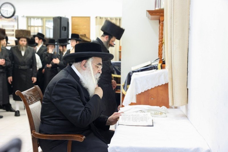 באדיבות המצלם