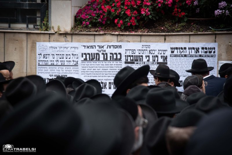 עזרא טרבלסי