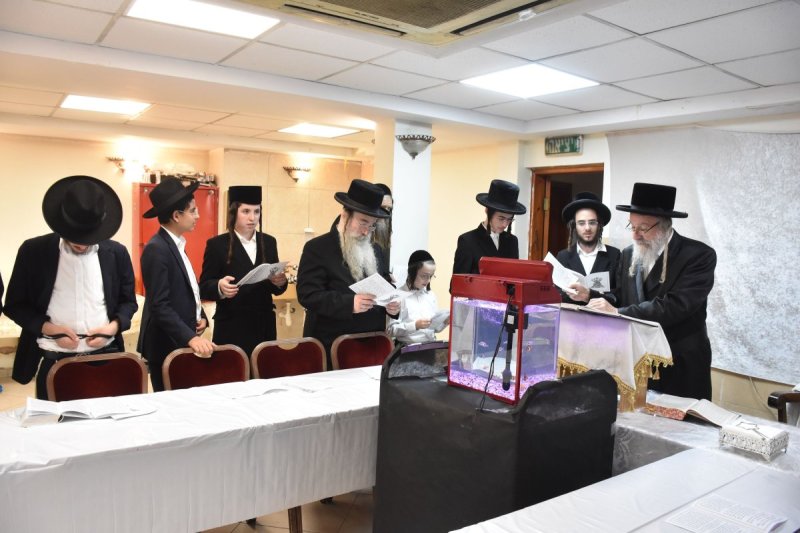 יהודה פרקוביץ