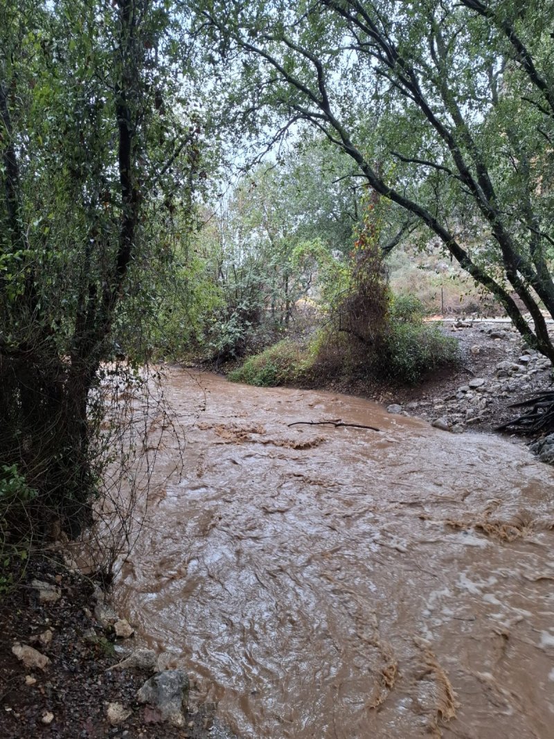 מאיה חכמון קדוש רשות הטבע והגנים