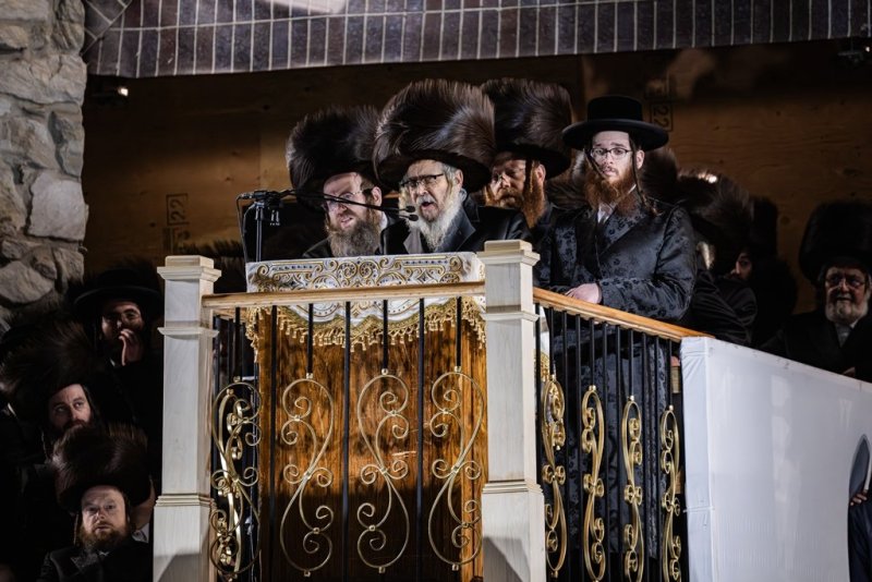 י. שטיין