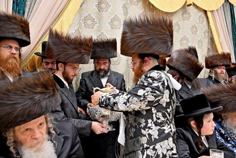 יהושע פרוכטר