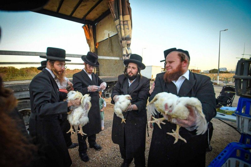 ארי קופרשטוק