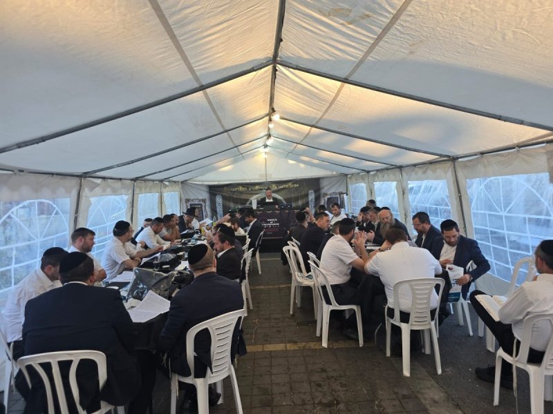 אלחנן קוטלר