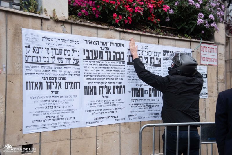 עזרא טרבלסי
