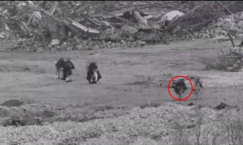 צה"ל חיסל מחבלי חמאס שפעלו בסמוך לכוחות צה"ל