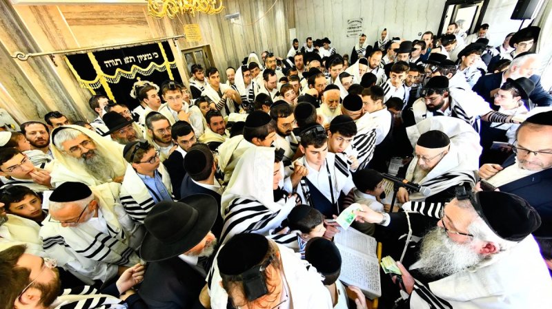 שוקי לרר
