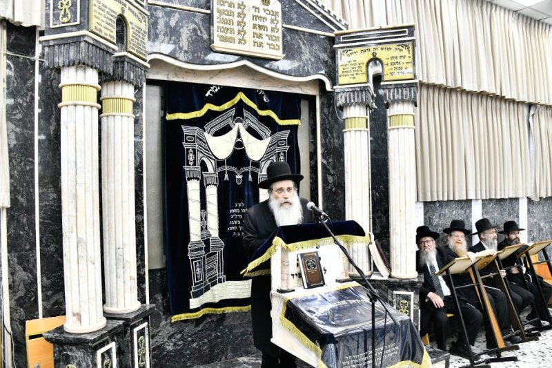 שוקי לרר