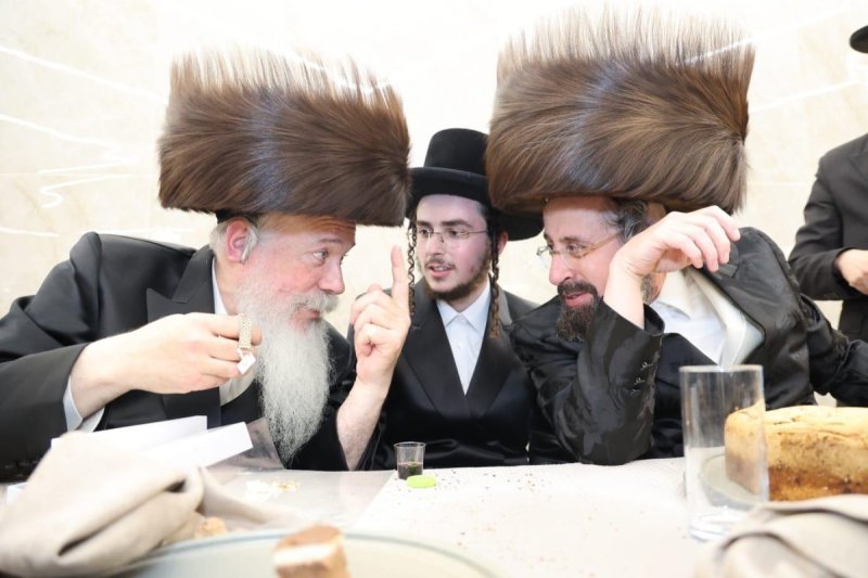 שלומי טריכטר