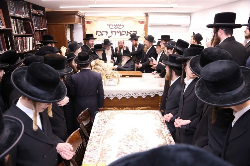 שמואל דריי