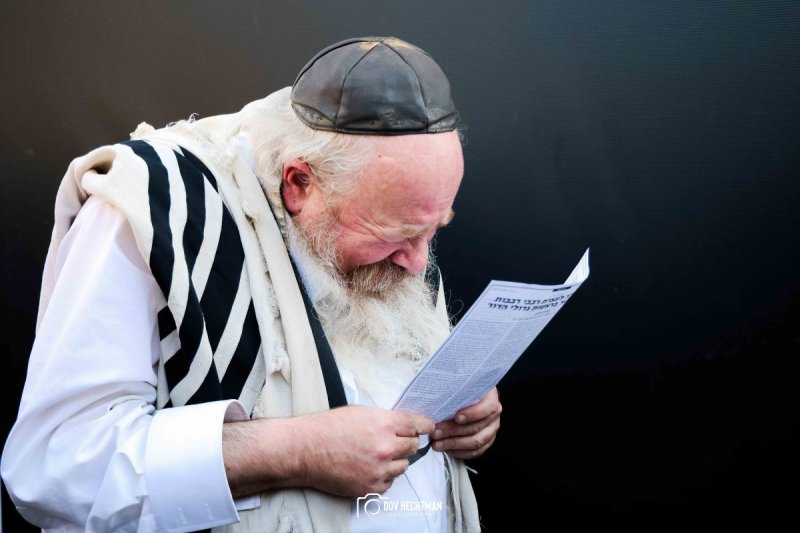 דב בער הכטמן