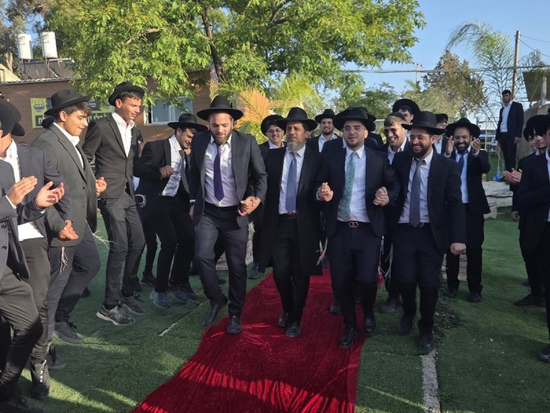שימי קליין