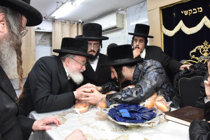 יהודה פרקוביץ