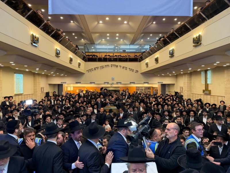 דניאל נפוסי ומאיר זלזניק