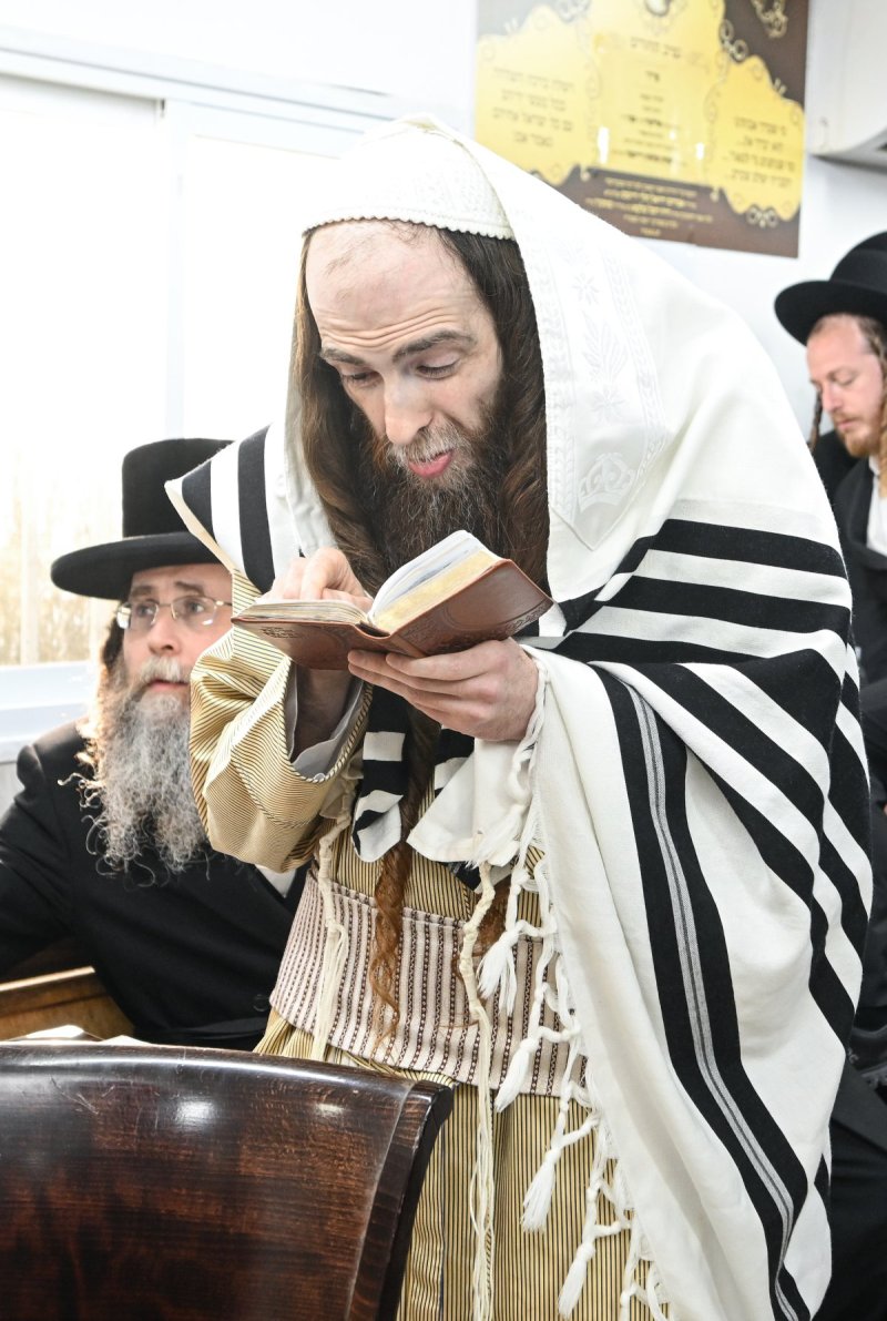 משה גולדשטיין