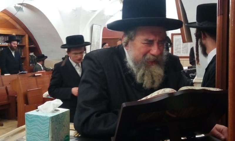 היום תשמע שוועתנו! האדמו"ר מראחמסטריווקא: "אני השליח שלכם במירון!"