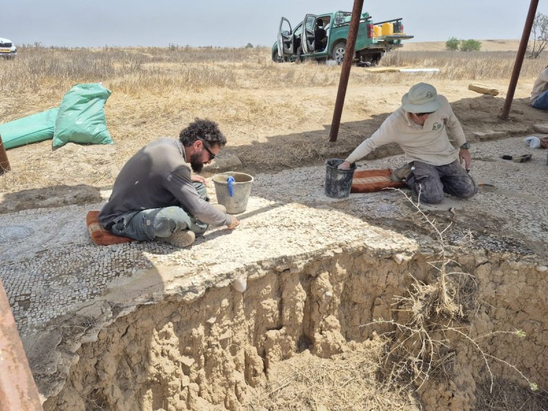 ליאור שוימר, רשות הטבע והגנים