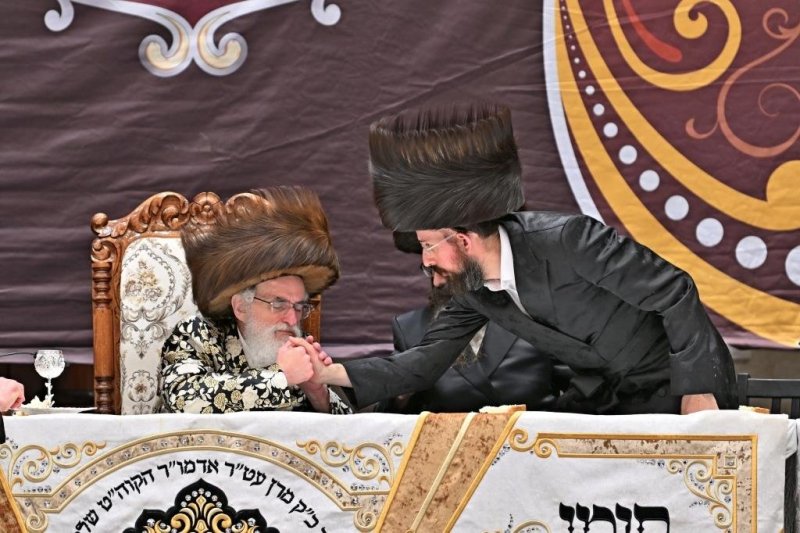 יהושע פרוכטר