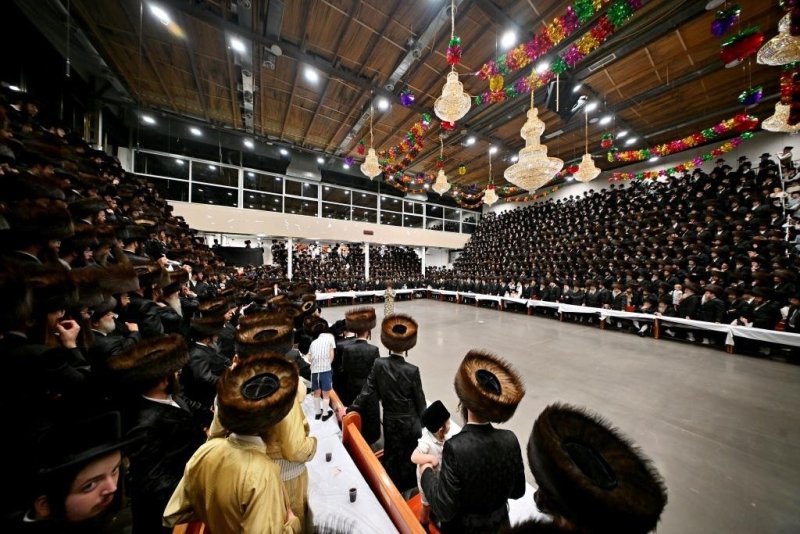 יהושע פרוכטר