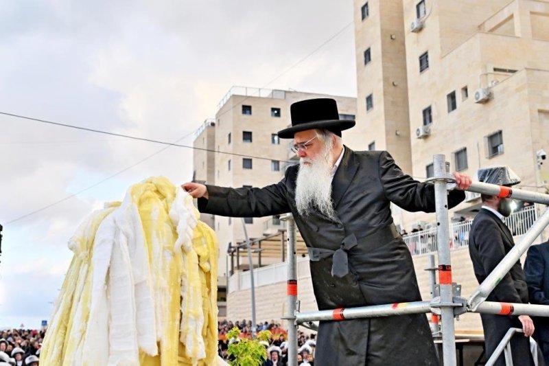 יהושע פרוכטר
