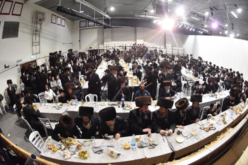 יהודה פרקוביץ