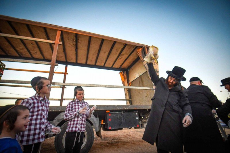 ארי קופרשטוק