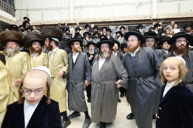 שלומי טריכטר