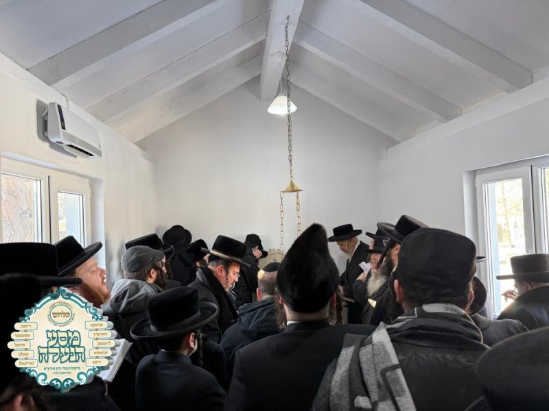 באדיבות המצלם