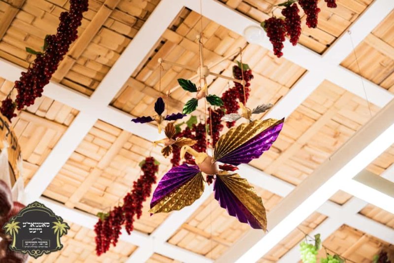 באדיבות המצלם